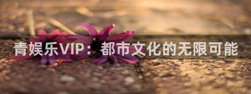 风暴娱乐官网：青娱乐VIP：都市文化的无限可能