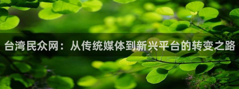 风暴娱乐官网：台湾民众网：从传统媒体到新兴平台的转变之路