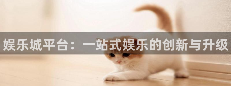 风暴娱乐：娱乐城平台：一站式娱乐的创新与升级