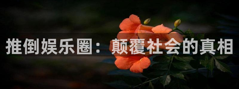 风暴娱乐官网：推倒娱乐圈：颠覆社会的真相