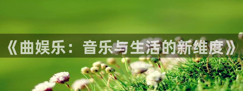 风暴娱乐登录地址：《曲娱乐：音乐与生活的新维度》