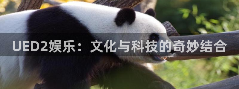 风暴娱乐官网：UED2娱乐：文化与科技的奇妙结合